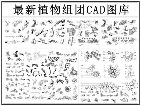植物组团 植物配置 绿植 花镜组团 乔木 灌木 植物搭配cad施工图