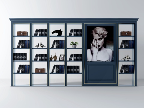  美式书柜 美式书柜书籍 摆件 挂画 美式书籍3d模型 