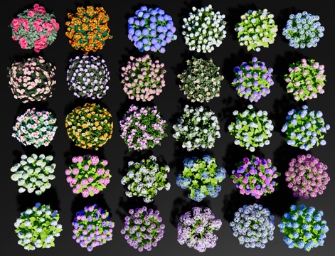 现代绣球花 球形花卉花草 植物花球花钵 景观花镜植物 绣球su模型