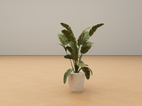  盆栽绿植su模型 