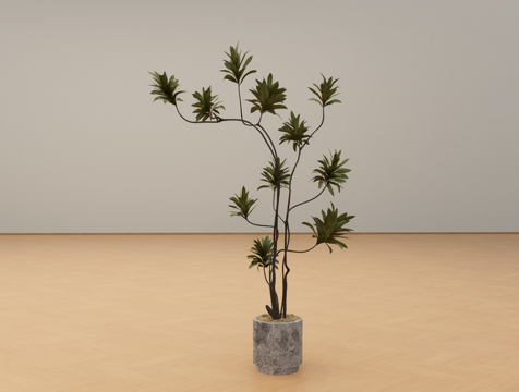  盆栽绿植su模型 