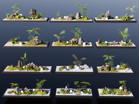  新中式微景观 室内微景观 室内盆景绿植 室内景观造景苔藓景观3d模型 