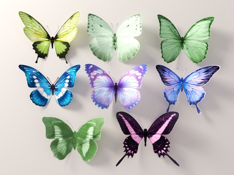 蝴蝶 蝴蝶标本 蝴蝶装饰su模型
