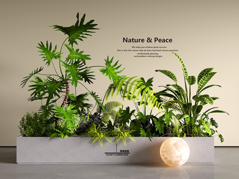 现代花箱 植物堆 景观造景 庭院小品 绿植盆栽su模型