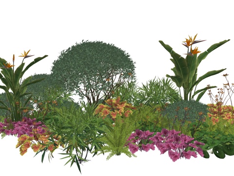 现代庭院植物堆景观su模型