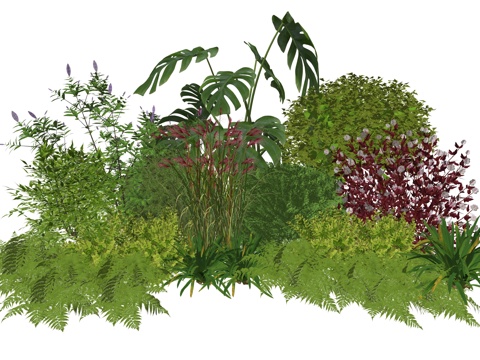 现代庭院花灌木植物组合su模型