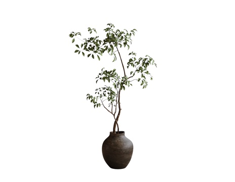 现代盆栽绿植 植物摆件su模型