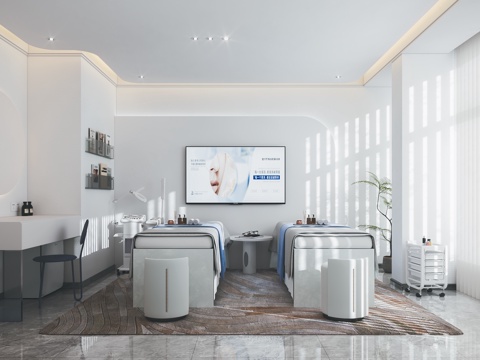  现代美容包间 双人美容SPA 皮肤管理中心 按摩床美容床3d模型 