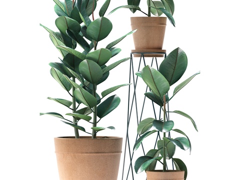 现代盆栽盆景 绿植盆栽组合   树 花盆su模型