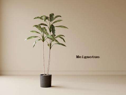 现代盆栽盆景 绿植 植物摆件su模型