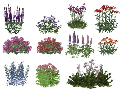 现代庭院景观花卉植物su模型