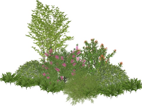 现代庭院花灌木植物组合su模型