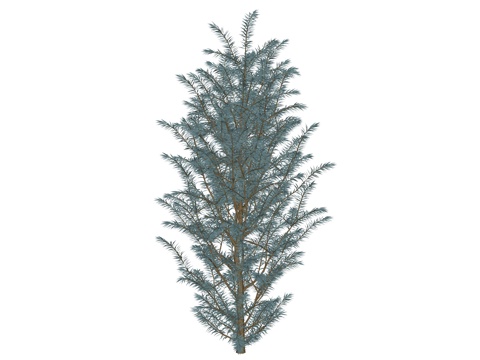 现代植物景观树su模型