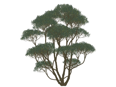 现代植物景观树su模型