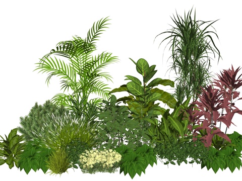 现代庭院植物堆景观su模型