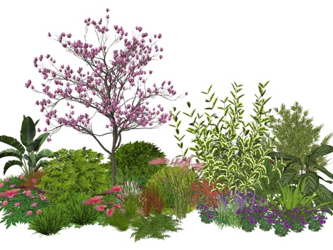 现代庭院植物堆景观su模型