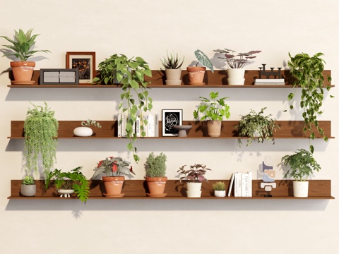 绿植 盆栽 吊兰 垂吊植物 小绿植su模型