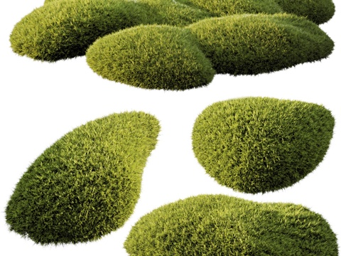 现代植物堆 户外灌木 植物su模型