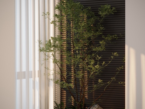 现代室内景观植物su模型
