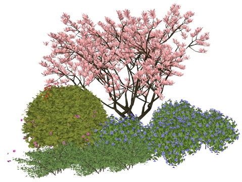 现代庭院植物堆景观su模型