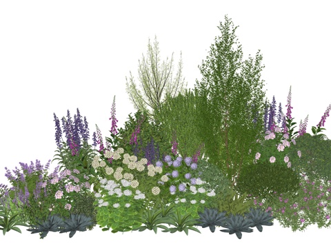 现代庭院花灌木植物组合su模型