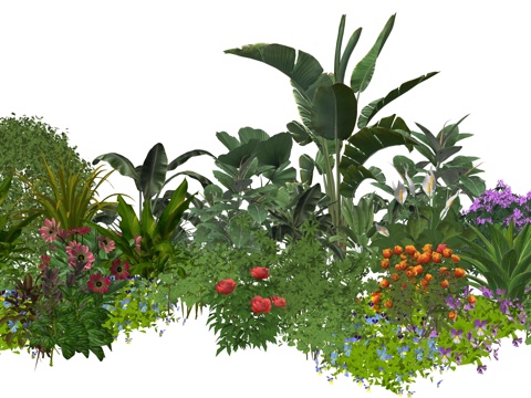 现代庭院植物花卉组合su模型