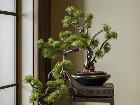  新中式盆景  植物盆栽 室内观赏绿植3d模型 