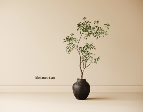 现代盆栽盆景 绿植 植物摆件su模型