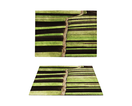  CPRN HOMOOD 地毯3d模型 