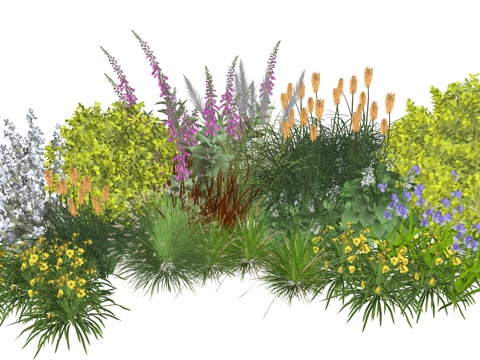 现代庭院植物堆组合su模型