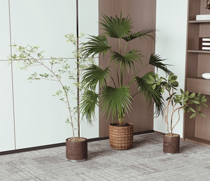 现代绿植盆栽su模型