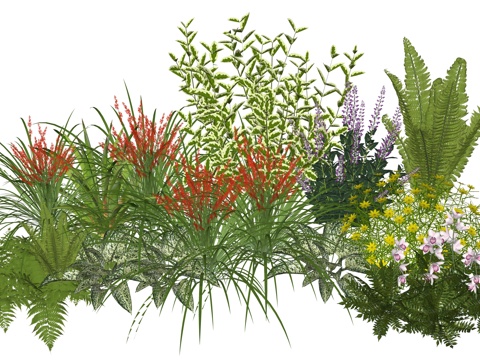 现代庭院植物堆组合su模型