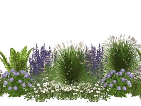 现代庭院植物堆组合su模型