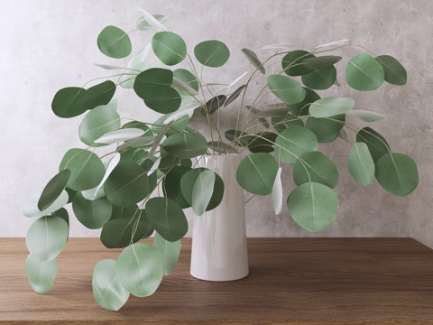 现代盆栽 植物花草 盆栽盆景 观赏植物su模型