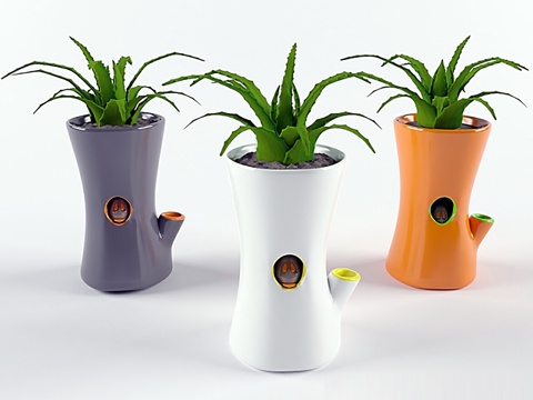 现代盆栽 植物花草 盆栽盆景 观赏植物su模型