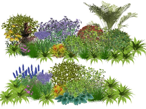 现代庭院小院植物堆植物景观组合su模型