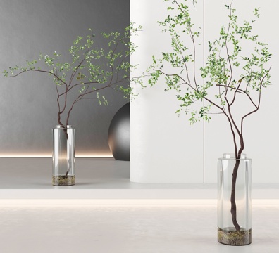  现代绿植花瓶3d模型 