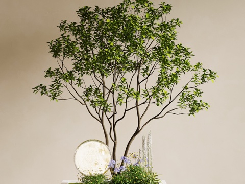 景观小品 绿植景观 室内景观 景观造景su模型
