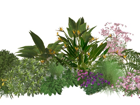 现代庭院小院植物堆植物景观组合su模型