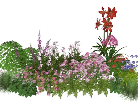 现代庭院小院植物堆植物景观组合su模型