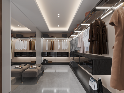  主卧衣帽间  别墅衣帽间 多功能衣帽间 现代衣帽间 衣服服饰3d模型 