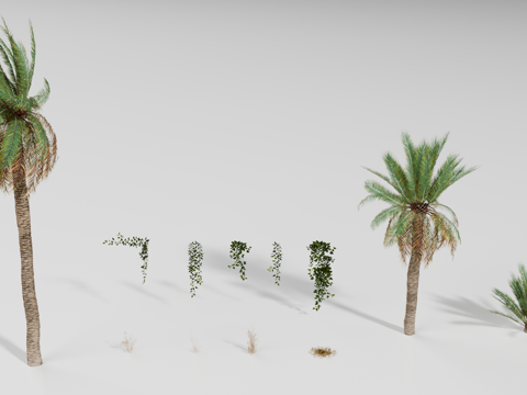 棕榈树 热带植物 藤蔓 枯草su模型
