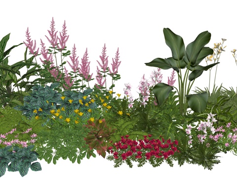 现代庭院小院植物堆植物景观组合su模型