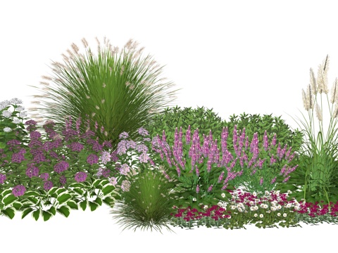 现代庭院小院植物堆植物景观组合su模型