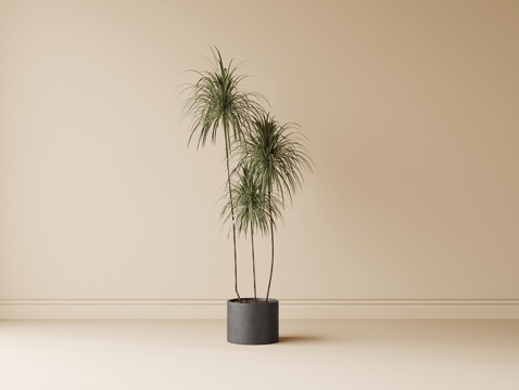 现代盆栽盆景 绿植 植物摆件su模型