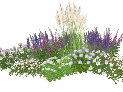 现代庭院小院植物堆植物景观组合su模型