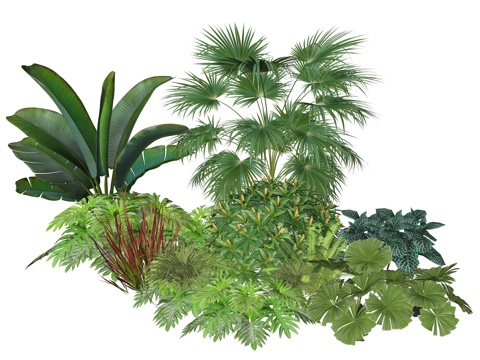 现代庭院小院植物堆植物景观组合su模型