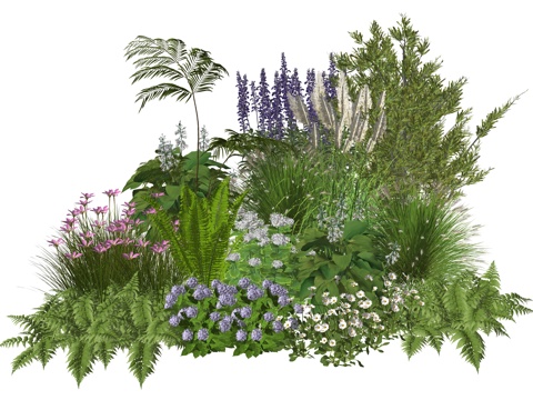 现代庭院小院植物堆植物景观组合su模型