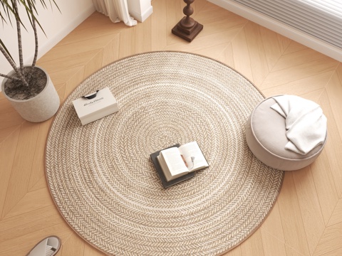 现代圆形地毯 绿植盆栽 书籍摆件su模型