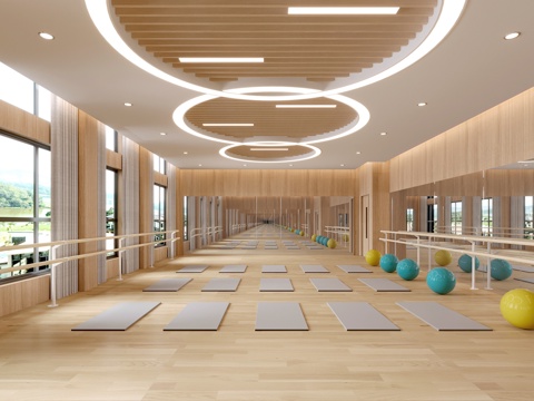 舞蹈室 舞蹈教室 活动室 瑜伽室 教室su模型